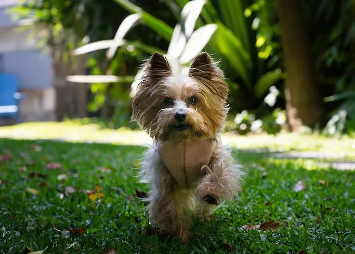 招待所 Rosario Townhouse (adults Only) 波尔图